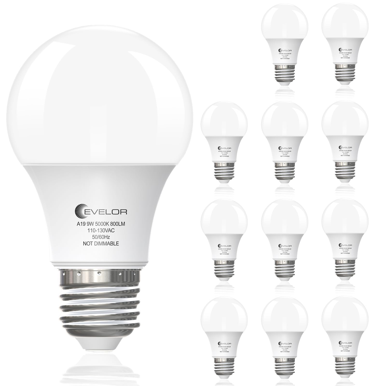 6-Pack A19 LED Light Bulbs,60 Watt Equivalent Daylight 5000K with E26 Base,Efficient 9W,800 Lumens Non-Dimmable LED Bulbs,15000 Hours, Ideal for Bedroom Living Room